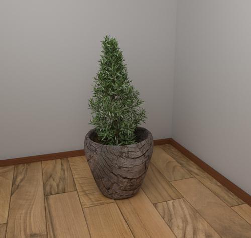 Shrub and pot plant preview image